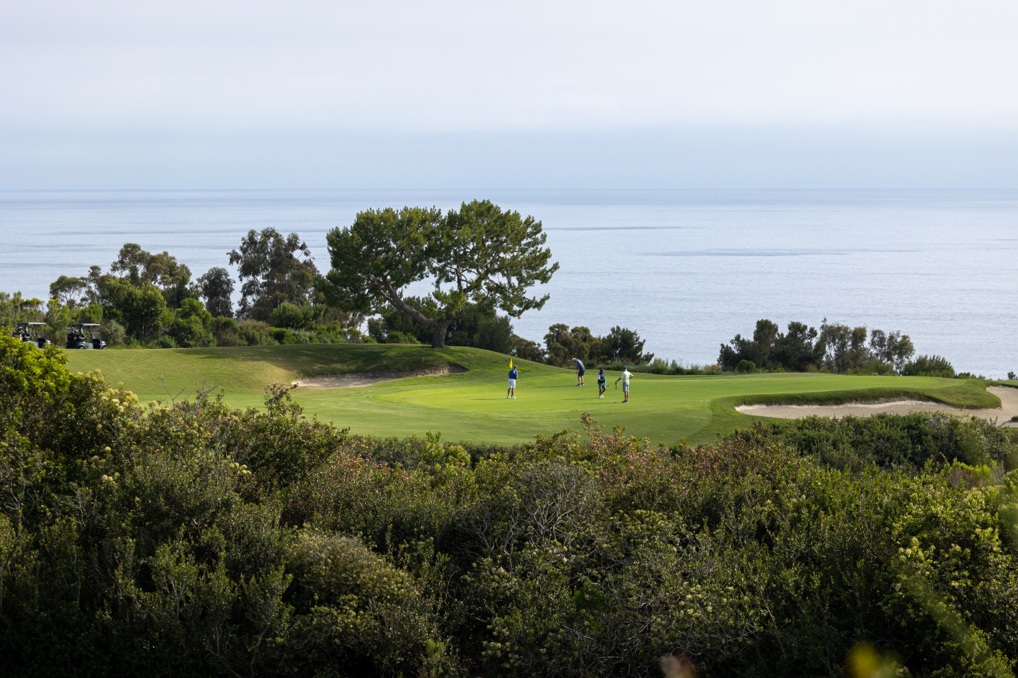 pelican hill golf course