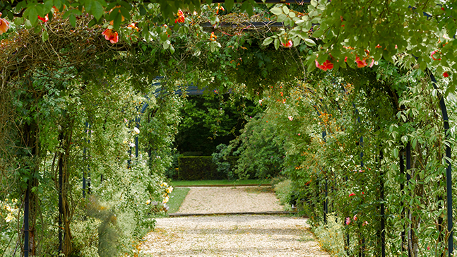 Sherman Library & Gardens