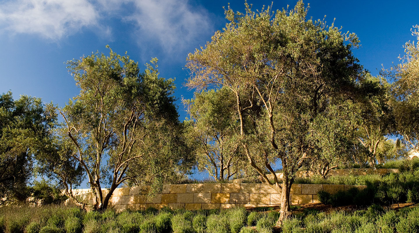 The Resort at Pelican Hill